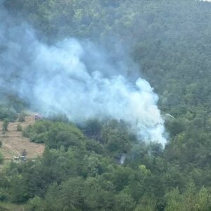 boluda orman yangini DTGbe4cg