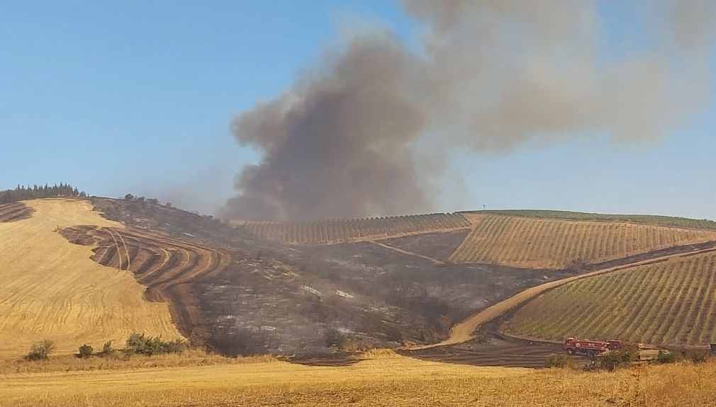 canakkalede tarim arazisinde yangin Uuv3fwQU