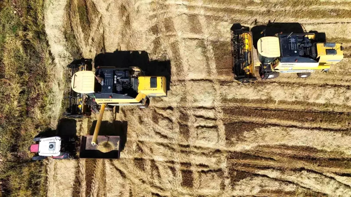 diyarbakirda karacadag pirinci hasadi basladi n2qgUktn