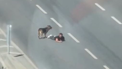 yolun ortasinda surunerek ilerledi qaXO5CtK