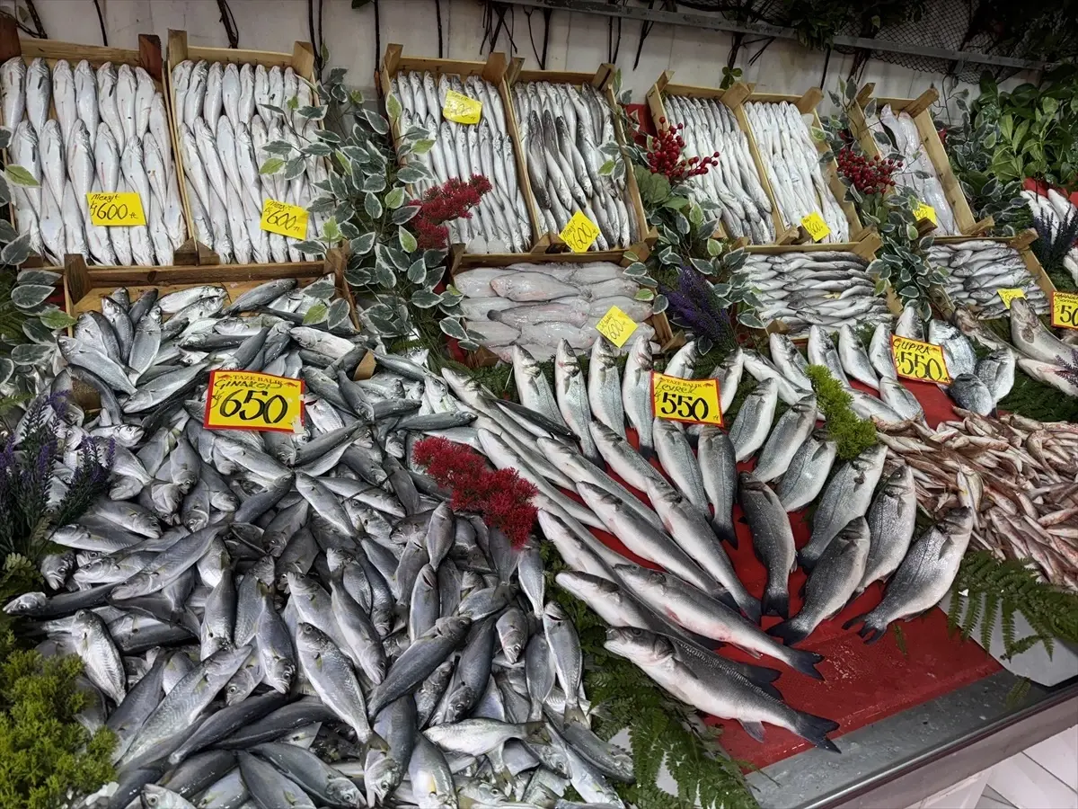 edirnede hamsi fiyati 300 tl vvpcvKjd.jpg