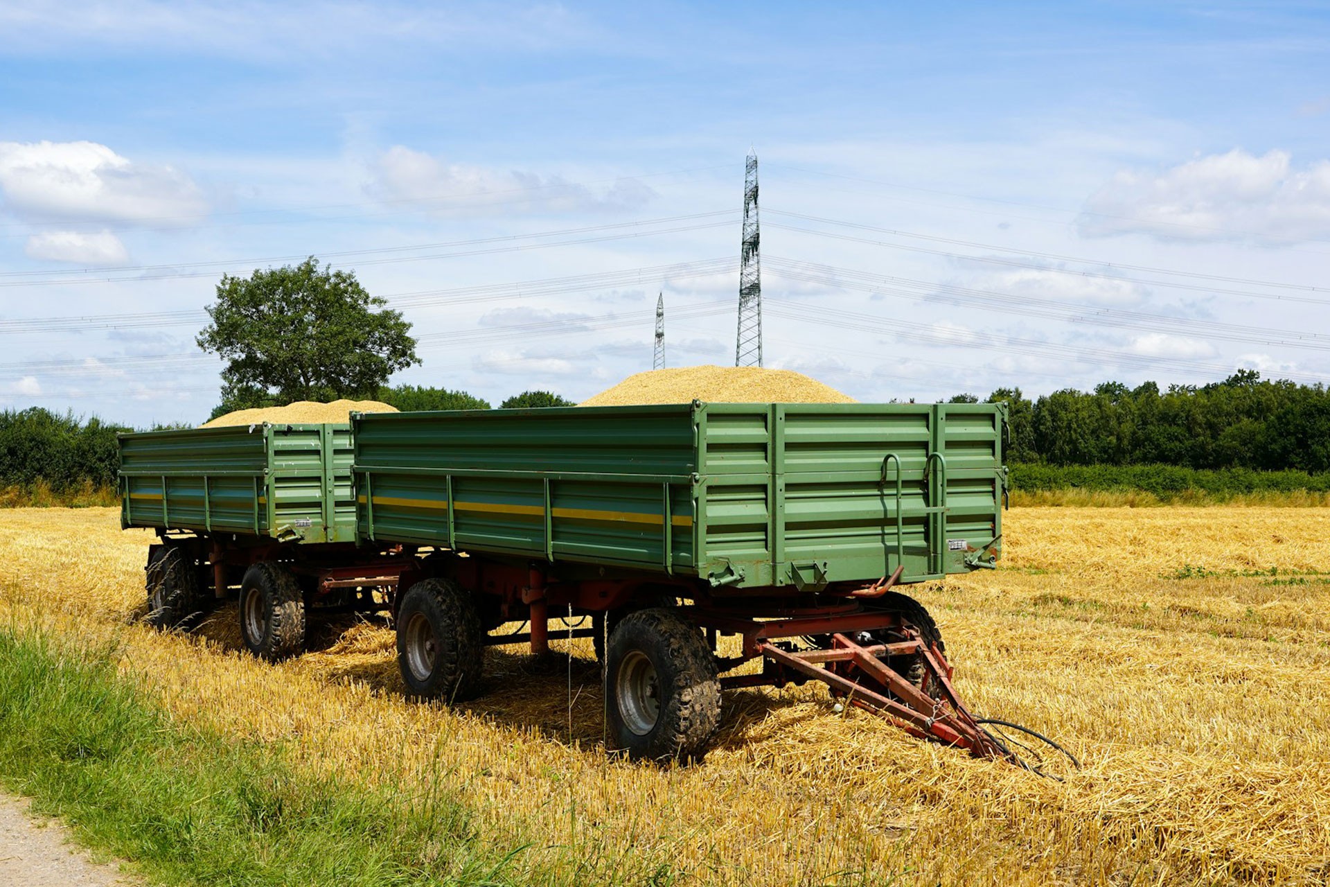 Tarım Girdi Enflasyonu Hızla Artıyor: Tarım-GFE Kasım'da Yüzde 34,24 Büyüdü