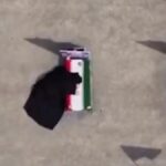 irandaki-ilkokula-duzenlenen-saldirida-hayatini-kaybeden-ogrenciler-anildi-eAesLtSj