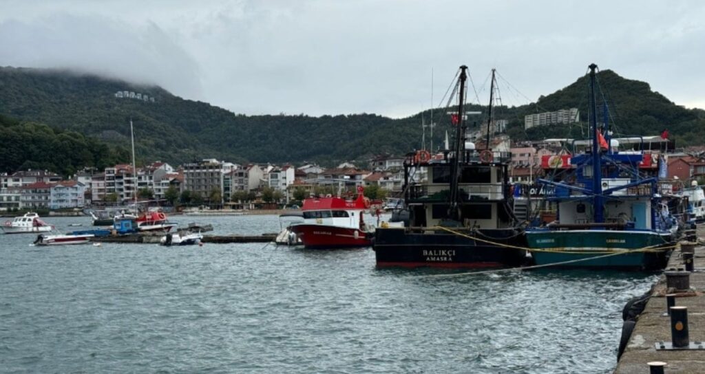 Karga Yavrusu İçin Yardım Eden Adam, Anne Karganın Gazabına Uğradı