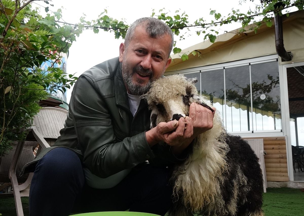 Ercan Yıldırım’ın Sevgili Kuzusu ‘Abbas’, Restoranının Maskotu Oldu