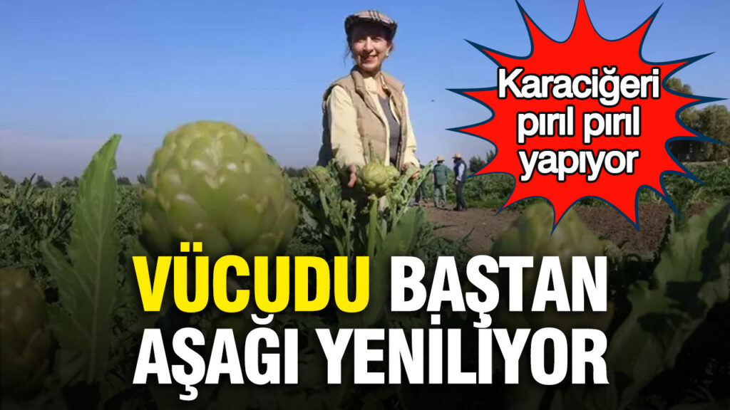Erdoğan’dan Bakü Enerji Haftası Mesajı: Türkiye-Azerbayacan İş Birliği Bölgesel Güvenliği Artırıyor