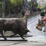 Kadikoyluler dikkat 7 saat su kesintisi uygulanacak mm38e1jd